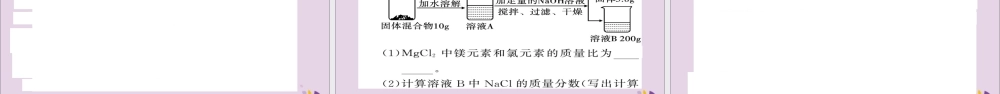中考化学总复习 第二轮 专题训练 提升能力 专题七 化学计算练习课件