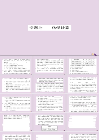 中考化学总复习 第二轮 专题训练 提升能力 专题七 化学计算练习课件