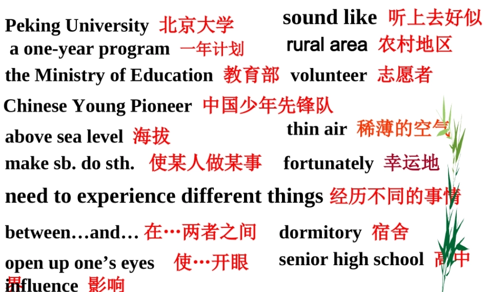 八年级英语 She said helping others changed her life课件
