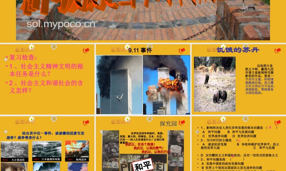 九年级政治 31(和平与发展的时代)课件4 粤教版 课件