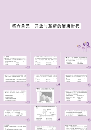 中考历史复习 第一篇 教材系统复习 第1板块 中国古代史 第6单元 开放与革新的隋唐时代(习题)课件