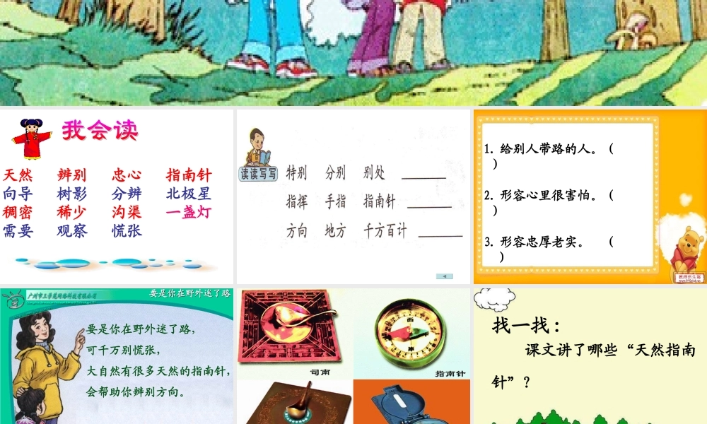 要是你在野外迷了路 