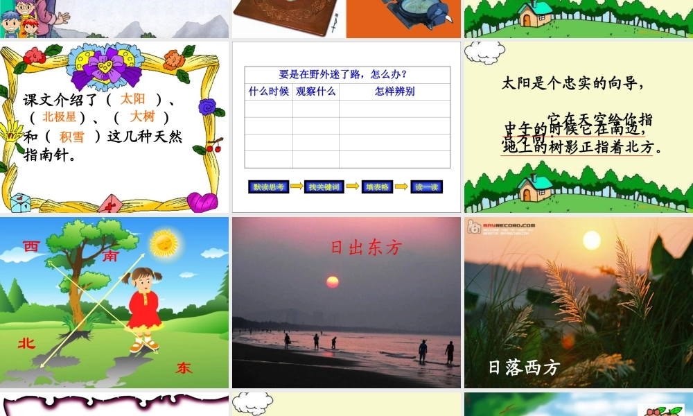 要是你在野外迷了路 