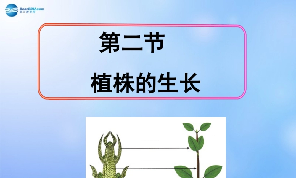 七年级生物上册 第三单元 第二章 第二节 植株的生长课件 新人教版 课件