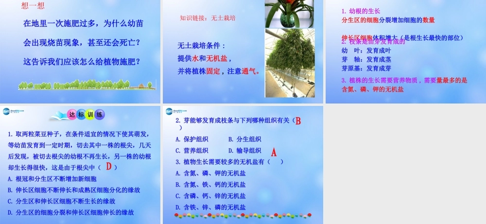 七年级生物上册 第三单元 第二章 第二节 植株的生长课件 新人教版 课件