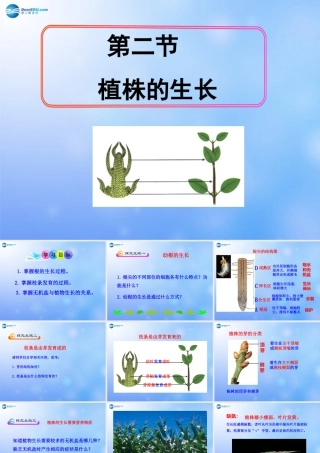 七年级生物上册 第三单元 第二章 第二节 植株的生长课件 新人教版 课件