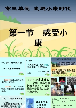 八年级思想品德下册 第三单元 第一节 感受小康课件 湘师版 课件