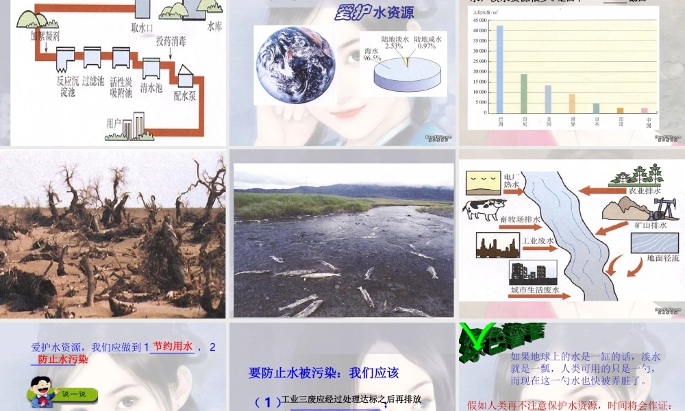 初三化学有关水的问题探究 课件