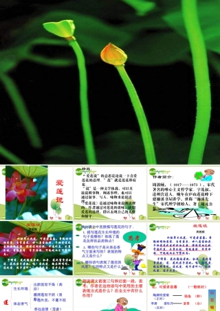 七年级语文上册第记·铭·说·志四篇-爱莲说)课件长春版 课件