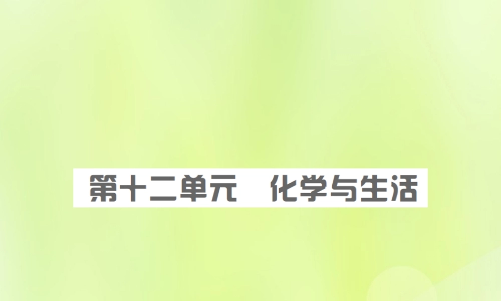 安徽省中考化学总复习 第十二单元 化学与生活课件