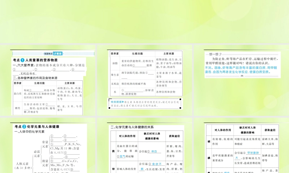 安徽省中考化学总复习 第十二单元 化学与生活课件