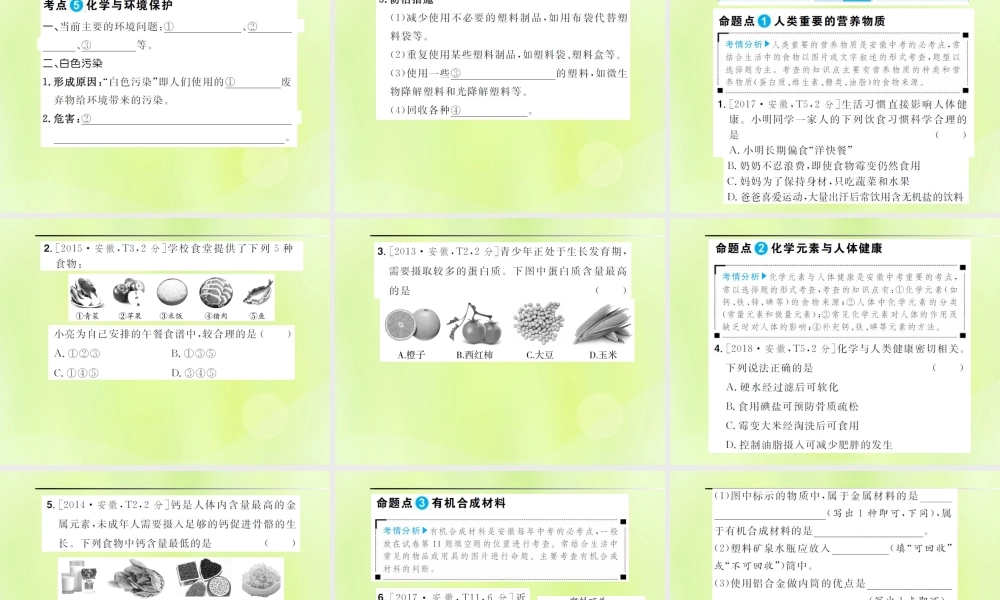 安徽省中考化学总复习 第十二单元 化学与生活课件