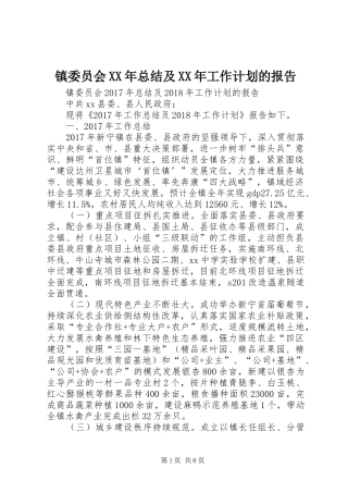 镇委员会XX年总结及XX年工作计划的报告