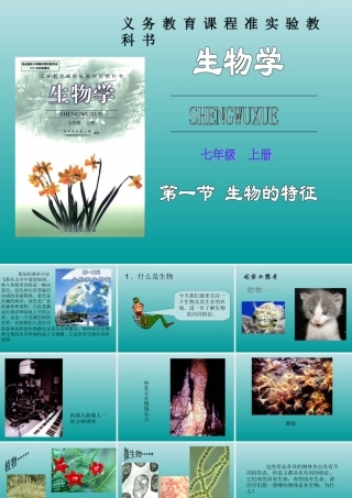 七年级生物生物的特征课件 新课标 人教版 课件