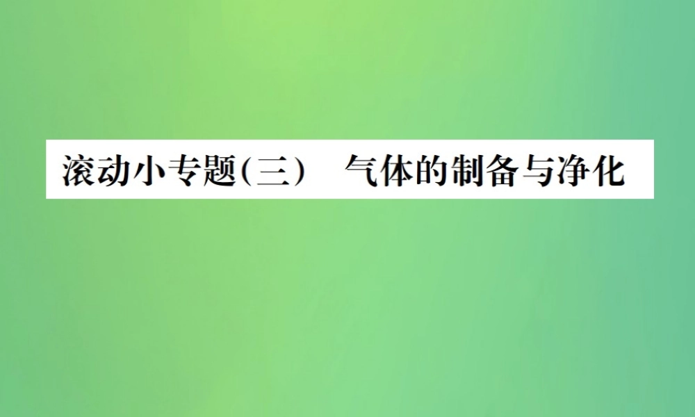 中考化学总复习 滚动小专题(三)气体的制备与净化课件