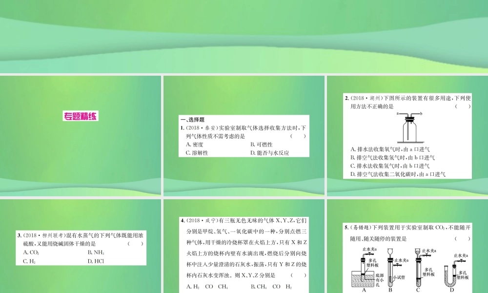 中考化学总复习 滚动小专题(三)气体的制备与净化课件