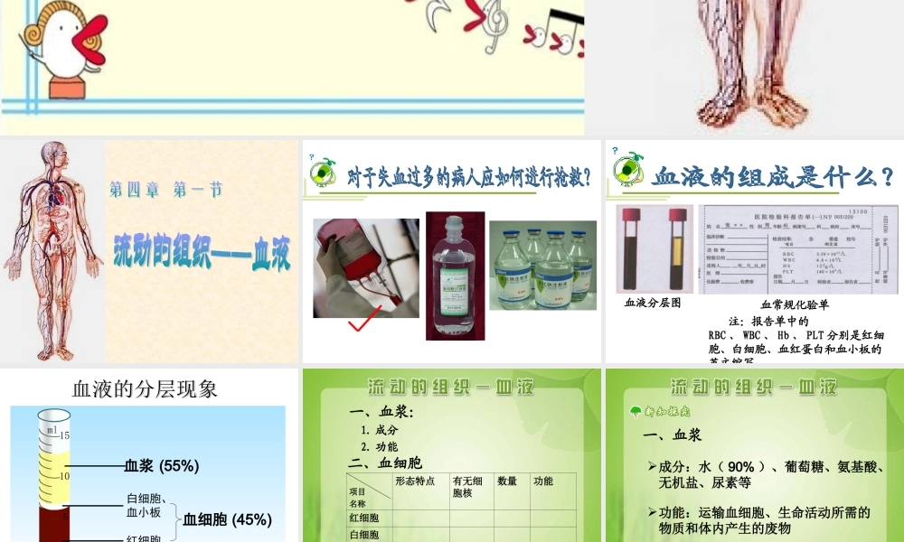 流动的组织——血液 (2)