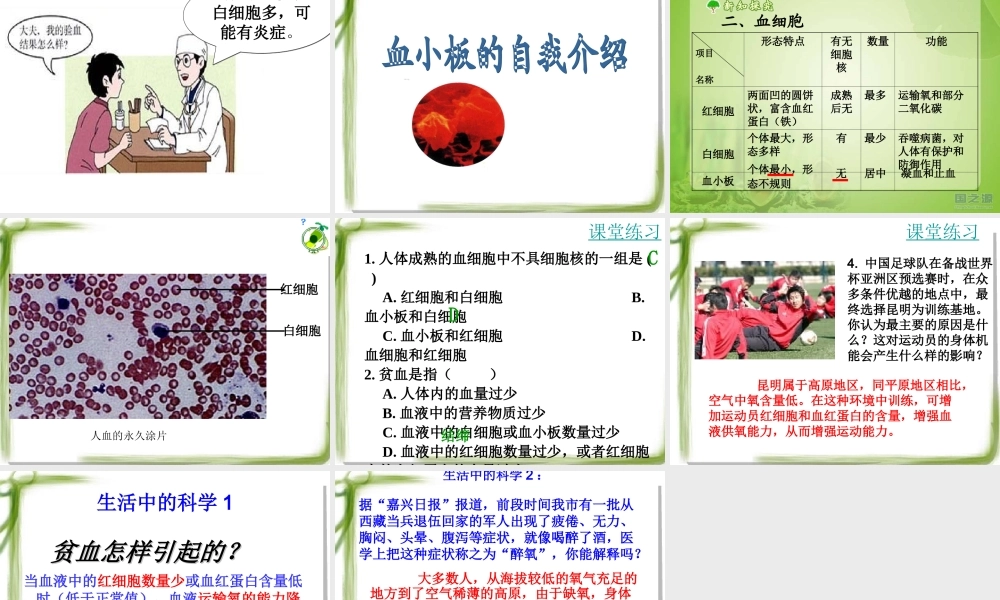 流动的组织——血液 (2)