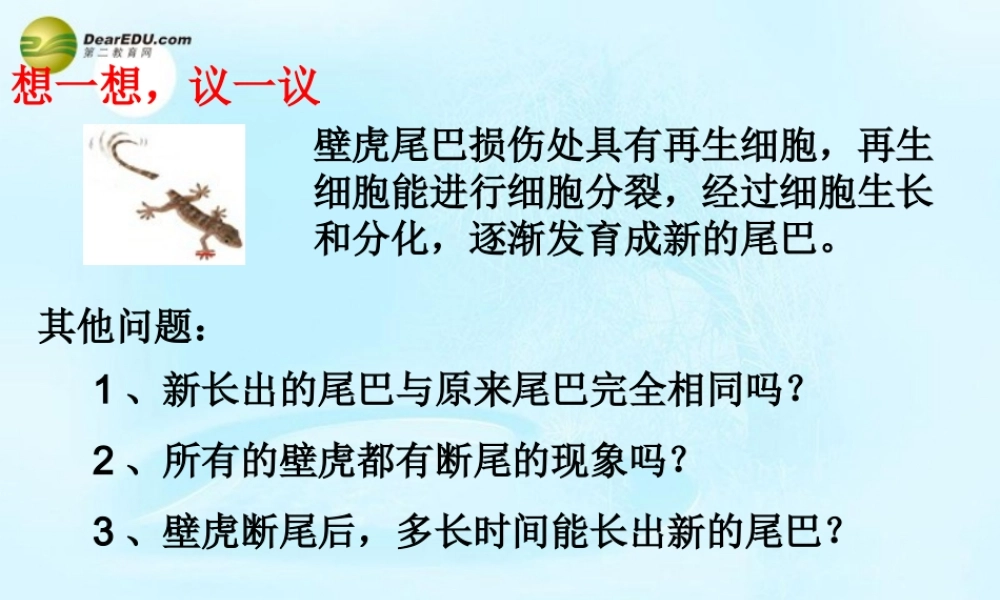 七年级生物上册 第三章 第一节 细胞的分裂产生新细胞课件 新人教版 课件