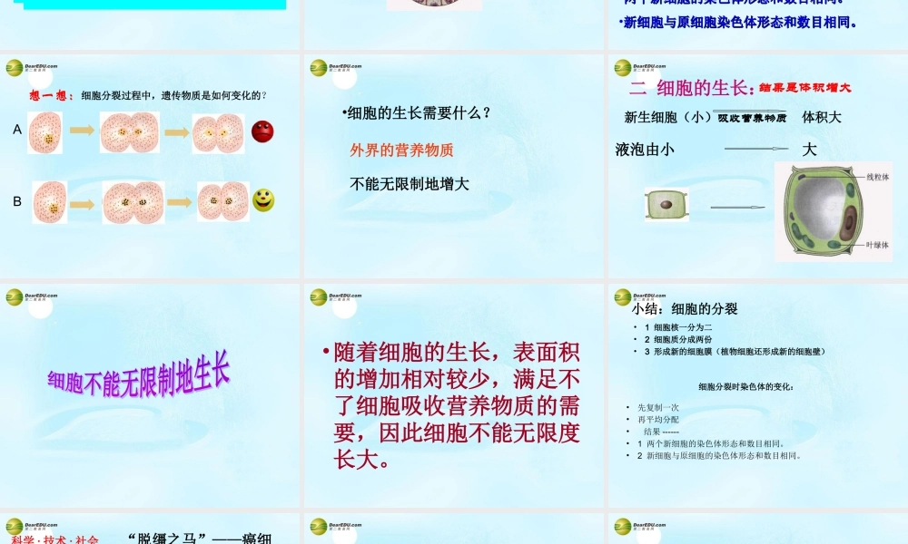 七年级生物上册 第三章 第一节 细胞的分裂产生新细胞课件 新人教版 课件