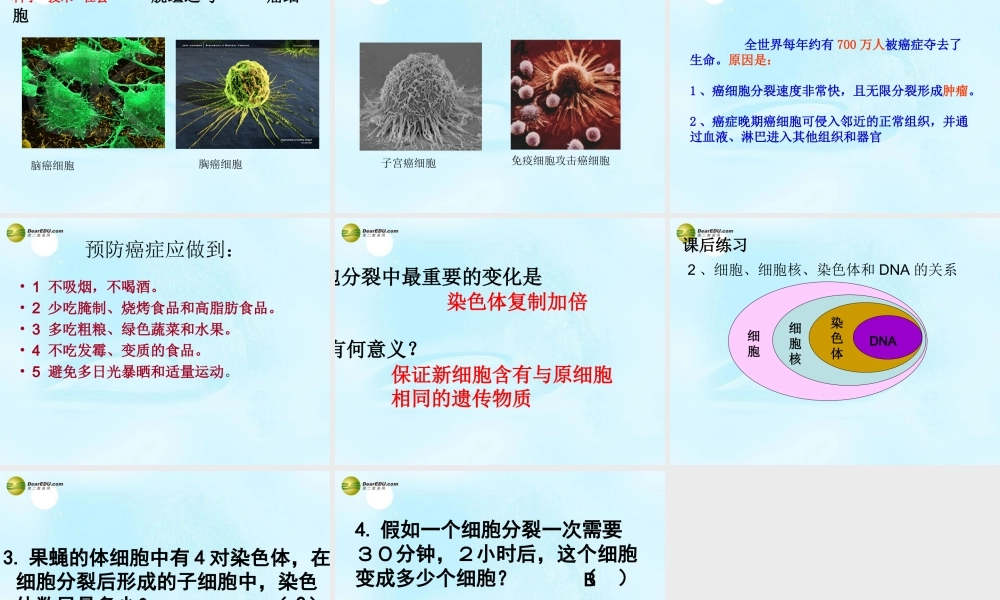 七年级生物上册 第三章 第一节 细胞的分裂产生新细胞课件 新人教版 课件