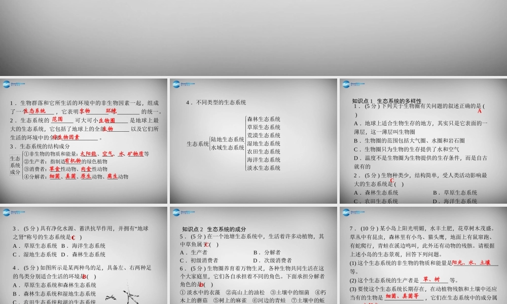 九年级科学下册 241 生态系统习题课件 浙教版 课件