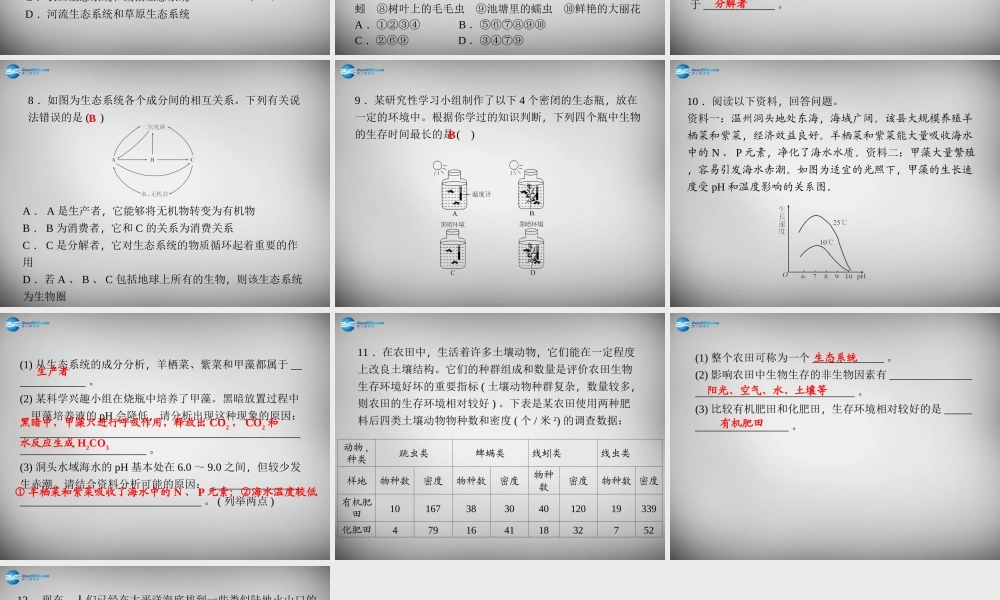 九年级科学下册 241 生态系统习题课件 浙教版 课件