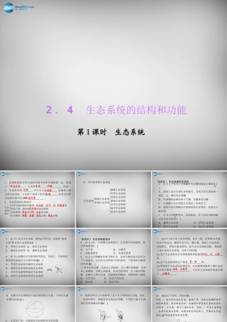 九年级科学下册 241 生态系统习题课件 浙教版 课件