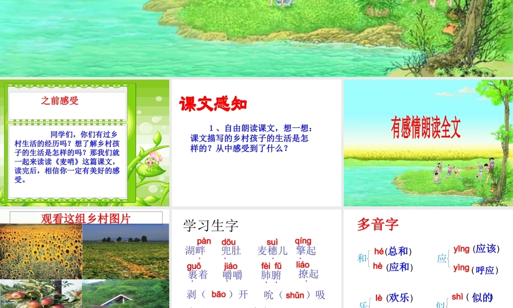 麦哨教学课件