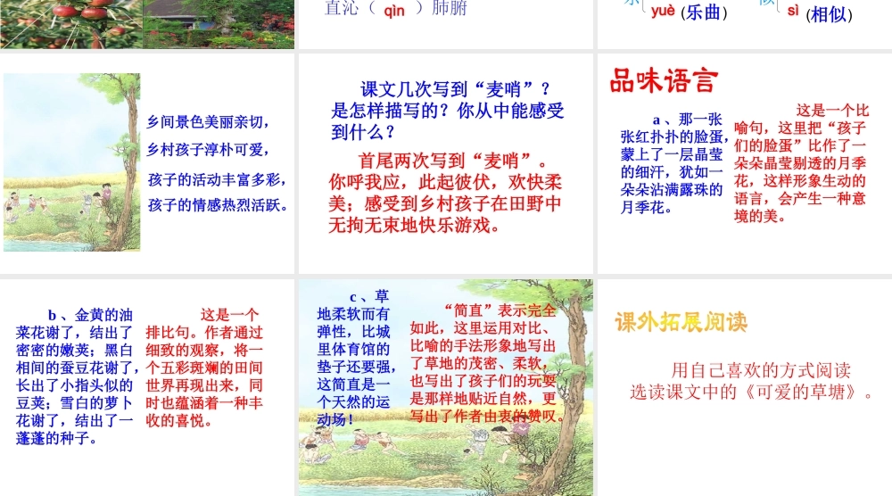 麦哨教学课件