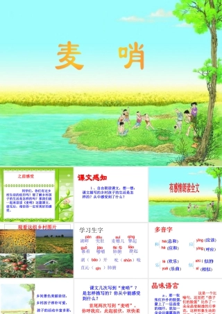 麦哨教学课件