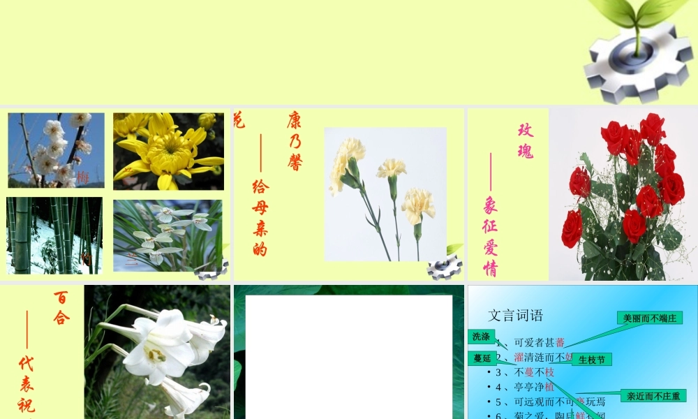 八年级语文下册 (爱莲说)教学课件 河大版 课件