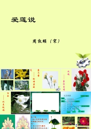 八年级语文下册 (爱莲说)教学课件 河大版 课件