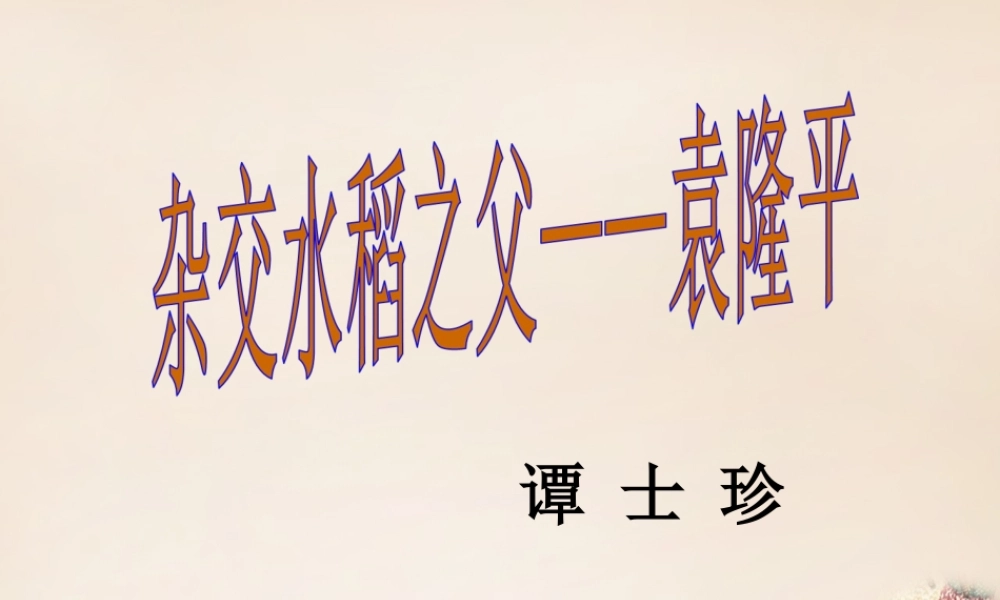 八年级语文上册 8(杂交水稻之父 袁隆平)课件 语文版 课件