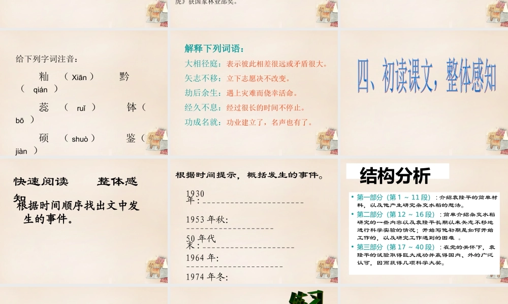 八年级语文上册 8(杂交水稻之父 袁隆平)课件 语文版 课件