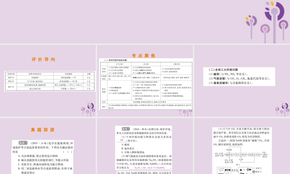 中考化学总复习 第二部分 专题提升 专题4 化学与社会发展 四 环境保护课件