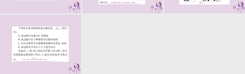 中考化学总复习 第二部分 专题提升 专题4 化学与社会发展 四 环境保护课件