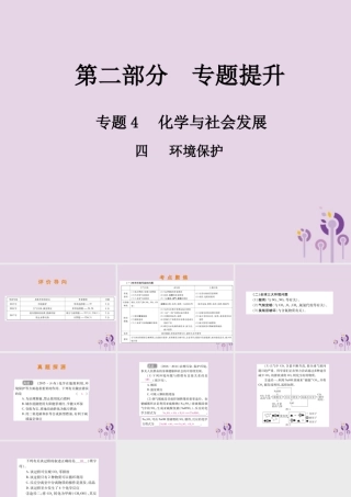 中考化学总复习 第二部分 专题提升 专题4 化学与社会发展 四 环境保护课件