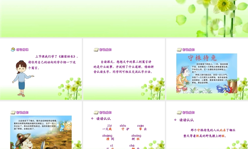 《守株待兔》教学课件