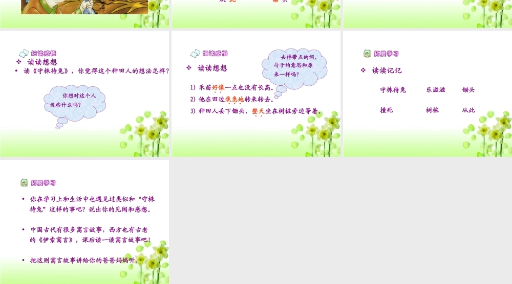 《守株待兔》教学课件