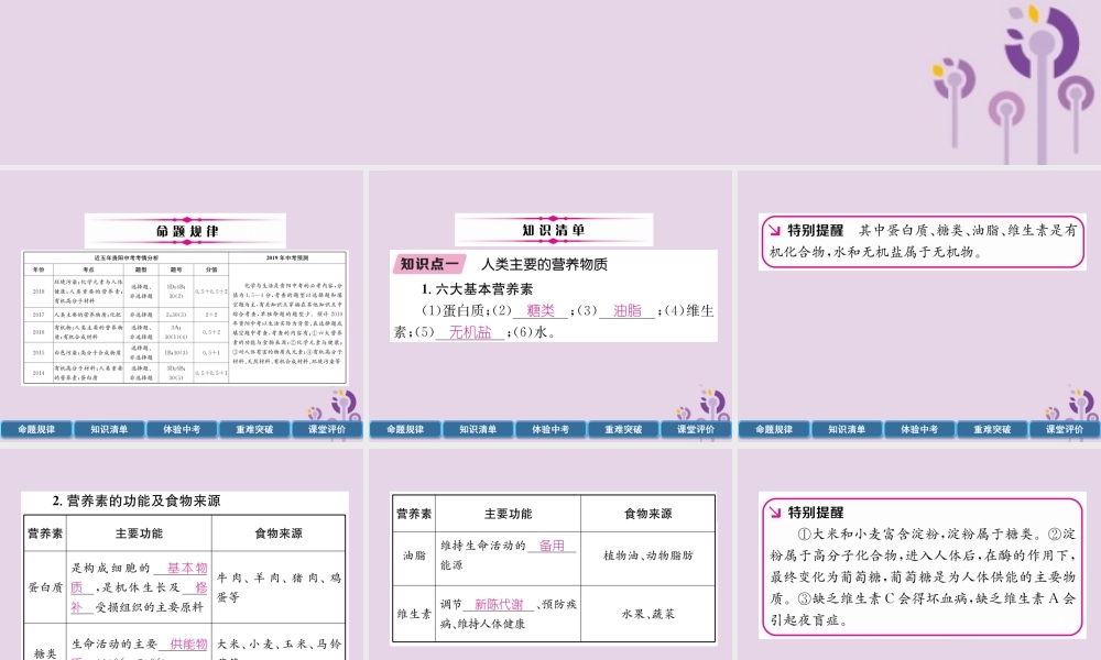 中考化学总复习 第1编 主题复习 模块4 化学与社会发展 课时15 化学与生活(精讲)课件