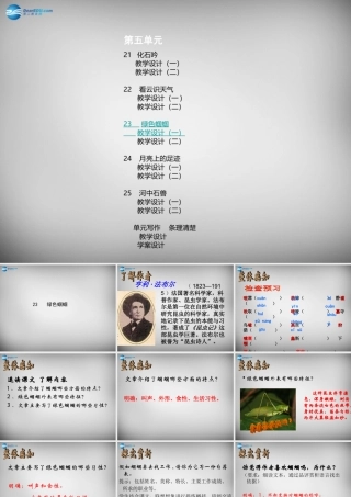中学七年级语文上册(第23课 绿色蝈蝈)课件 (新版)新人教版 课件
