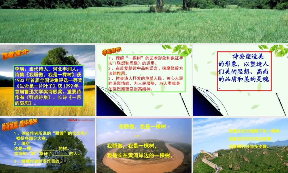 八年级语文下册 第24课(我骄傲，我是一棵树)课件  苏教版 课件