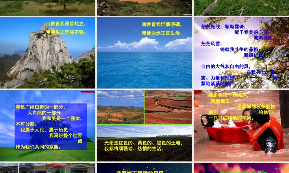 八年级语文下册 第24课(我骄傲，我是一棵树)课件  苏教版 课件