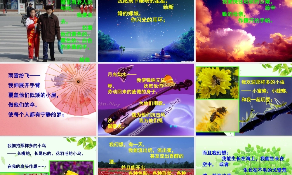 八年级语文下册 第24课(我骄傲，我是一棵树)课件  苏教版 课件