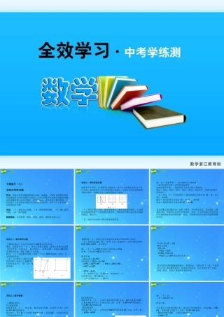 全效学习中考数学复习学练测 专题七实验应用型问题八信息及跨学科问题课件 浙教版 课件