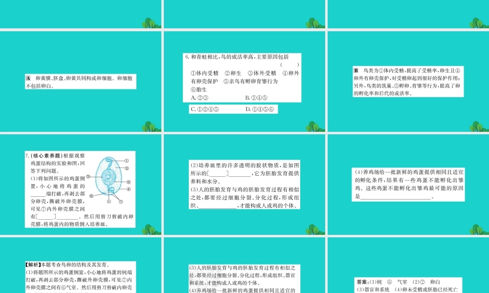 八年级生物下册 7.1.4 鸟的生殖和发育习题课件(新版)新人教版 课件