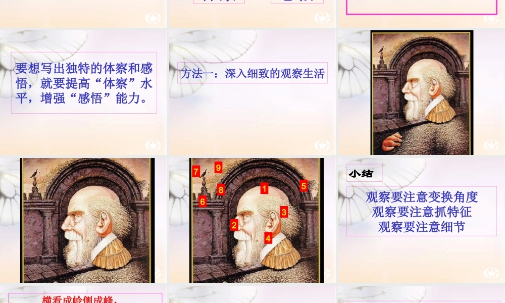 八年级语文 在记叙文中写出独特的体察和感悟课件