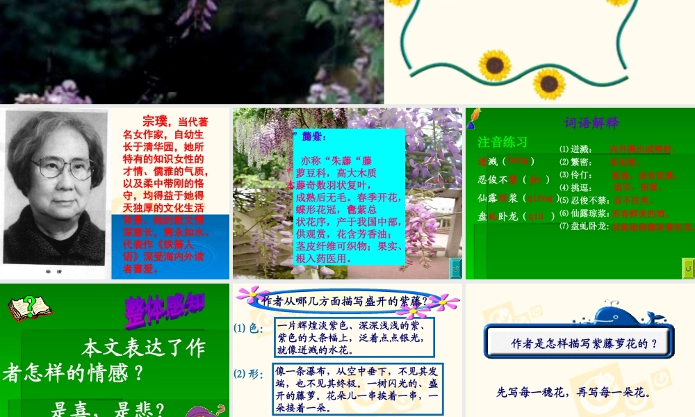 七年级语文上第四课紫藤萝瀑布课件人教版 课件