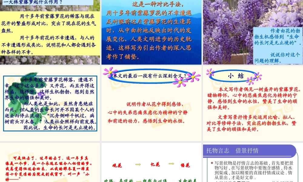 七年级语文上第四课紫藤萝瀑布课件人教版 课件